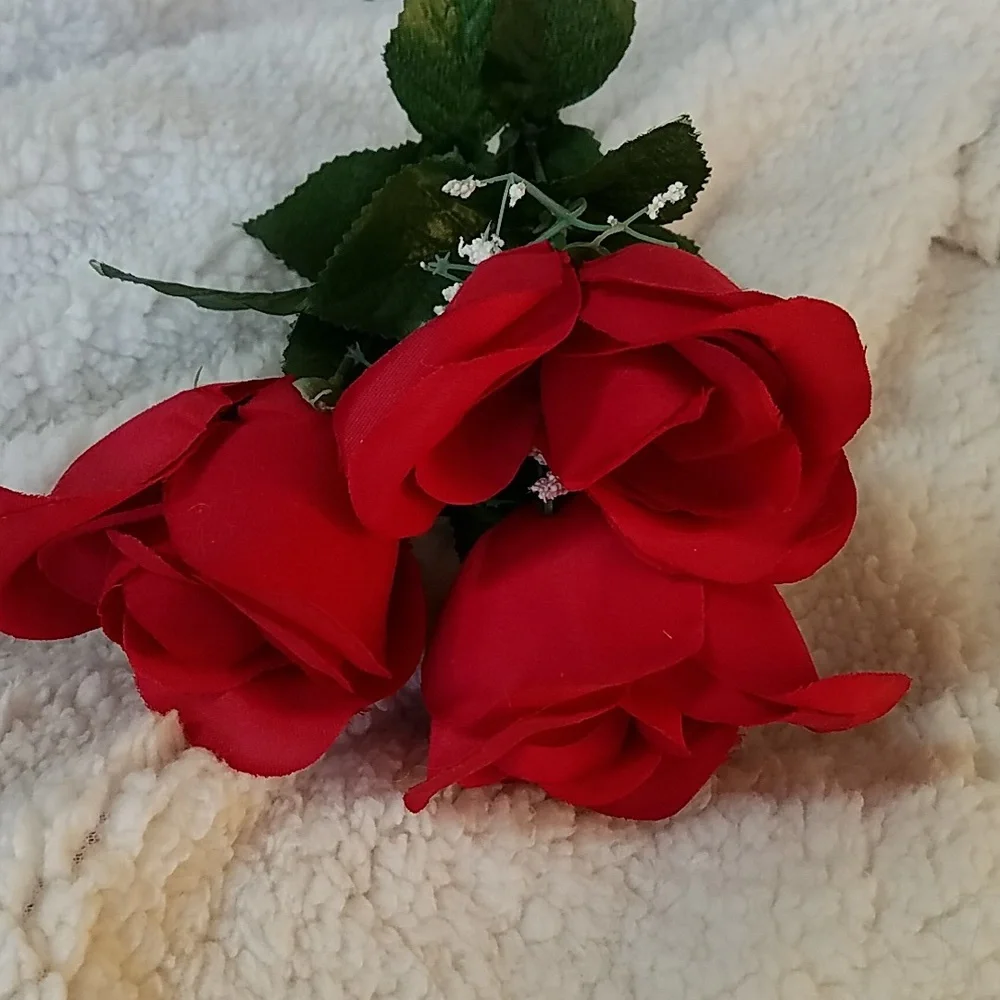 3 LONG STEM ROSES